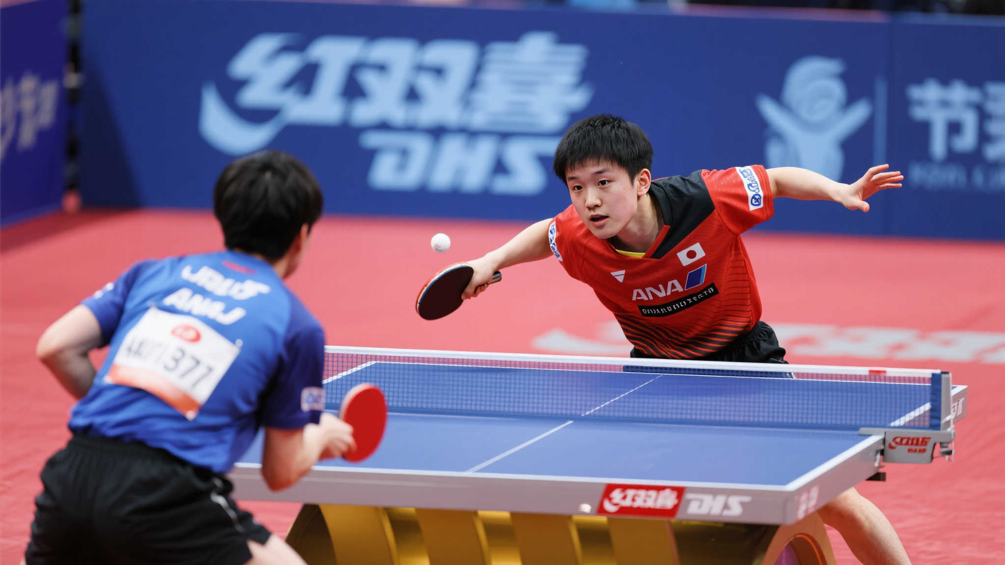 意大利杯不 意大利杯不